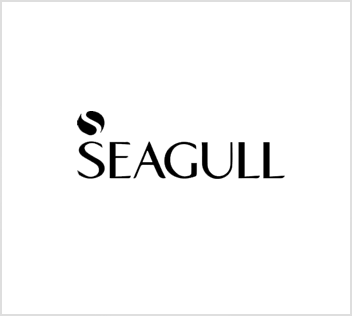 seagull-logo-seo
